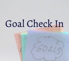 Featured-Image-Goal-Check